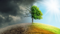 How the Banking Sector is Managing Climate Change Risk