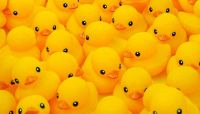 Reporter's Notebook is where Banking Exchange staff rise above the ordinary fray to get a perspective on what's going on. This edition looks at how an analogy about quacking ducks evolved from a pro-deregulation statement to something much different.