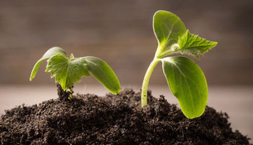 Compliance risk investment to grow