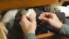 Dodd-Frank savings hiding in SOX drawer?