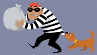 TD Bank Survey: Fraud Top of Mind, But Financial Institutions Lack Training