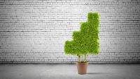 Building CRE portfolio, safe and smart
