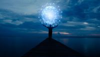 More banks are actively investing in fintech companies whose apps they use. Live Oak Bank&rsquo;s Canapi, Inc., is one example. Managing Director Neil Underwood explains why &ldquo;open APIs&rdquo; are the key to banks&rsquo; future. 
