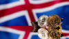 UK Finance Launches Industry-wide Pilot for Tokenized Sterling Deposits