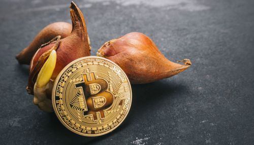 One thing about tulip bulbs, compared to Bitcoin: At least you can usually count on a pretty outcome.