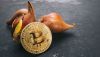 One thing about tulip bulbs, compared to Bitcoin: At least you can usually count on a pretty outcome.
