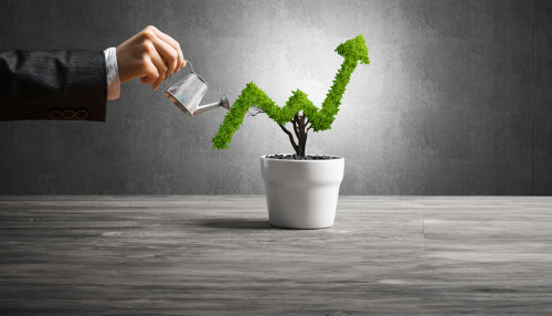 Nearly Three-Quarters of Small Businesses Saw Growth in 2024 According to U.S. Bank