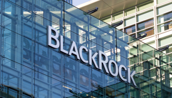 BlackRock buys renewables energy provider