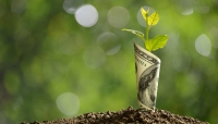 Green Banks May Rise in 2021 in the United States