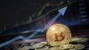 Bitcoin, Cryptocurrency Gaining Momentum Again as Brands Step In