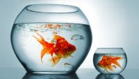 Digital power shift to favor big companies