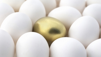 Why Asset Management Must Address Diversity