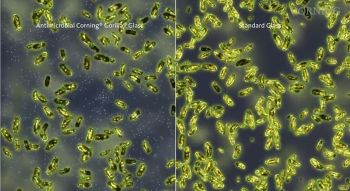 Impact of new technology, left, from Corning for Diebold ATMs as it fights microbes, compared to unprotected surfaces.