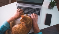 Four Questions to Ask When Building Your Remote Payment and Collections Strategy