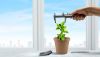 Loan growth tough slog for big banks