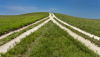 ABA Urges Regulators to Work Together on M&amp;A Rules