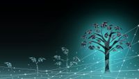 Goldman Sachs, J.P. Morgan and Citigroup Fintech Investments Growing Like Never Before