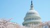 Correspondent banker Chris Nichols takes a preliminary look at the new banking law, signed May 23 by President Trump.