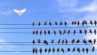 Young millennials taking flight