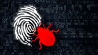 Comptroller cites many faces of cyberfraud