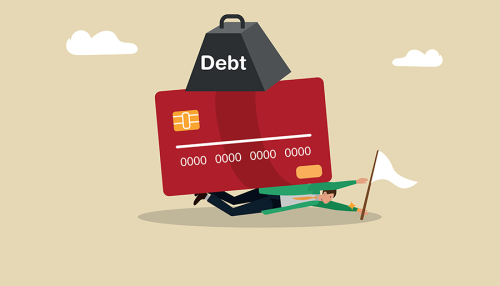 48% of Credit Cardholders Carry Debt from Month to Month