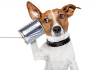 Voice biometrics can increase customer satisfaction, lower call-handling times, and reduce fraud. It&rsquo;s about who you are, not what you know.