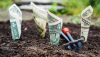 An alternative to starting a new bank is buying a small-town bank and transplanting the headquarters to a metro market.