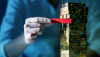 The right tools, data, and people can help CFOs turn risk management into opportunity management
