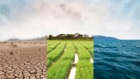 Climate risk could trigger 20% higher loan losses, Moody’s report finds