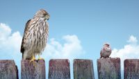 The Future of Asset Management, Part II: Bigger, And Smaller, Is Better