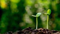 What will sprout from OCC's fintech charter move?