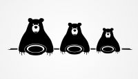 What the Goldilocks Effect has to do with Minimizing Fraud