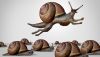 Financial Organizations Must Embrace Promise, Peril of Digital Transformation