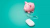 First Internet Bank&rsquo;s life in the web lane