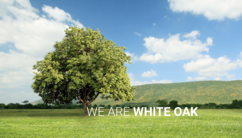 White Oak Global Advisors collaborates with Global Impact for impact investment analysis