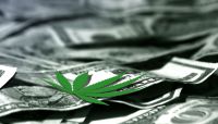 Marijuana business interests reacted with concern to the Justice Department's policy shift on prosecutions, including rescinding of the "Cole Memo."