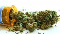 Compliance challenge of marijuana legalization