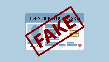 Scan verifies driver’s licenses