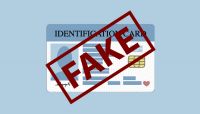 Scan verifies driver&rsquo;s licenses