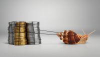 Snailpace@real-time.com?