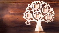 Complete honesty in security answers may be missing the point, when answers to common questions can be easily found on the web.