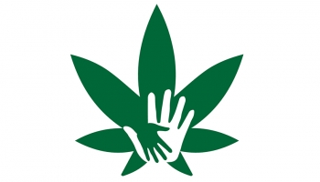 Cannabis in the Time of COVID: a Small Business Banking Emergency