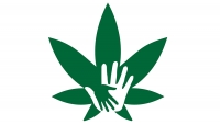Cannabis in the Time of COVID: a Small Business Banking Emergency