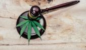 ABA Supports Overhaul of Cannabis Laws