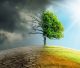 How ESG bans are threatening impact investing